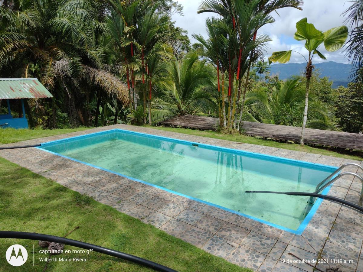 Hotel Mirador Osa Mogos 외부 사진