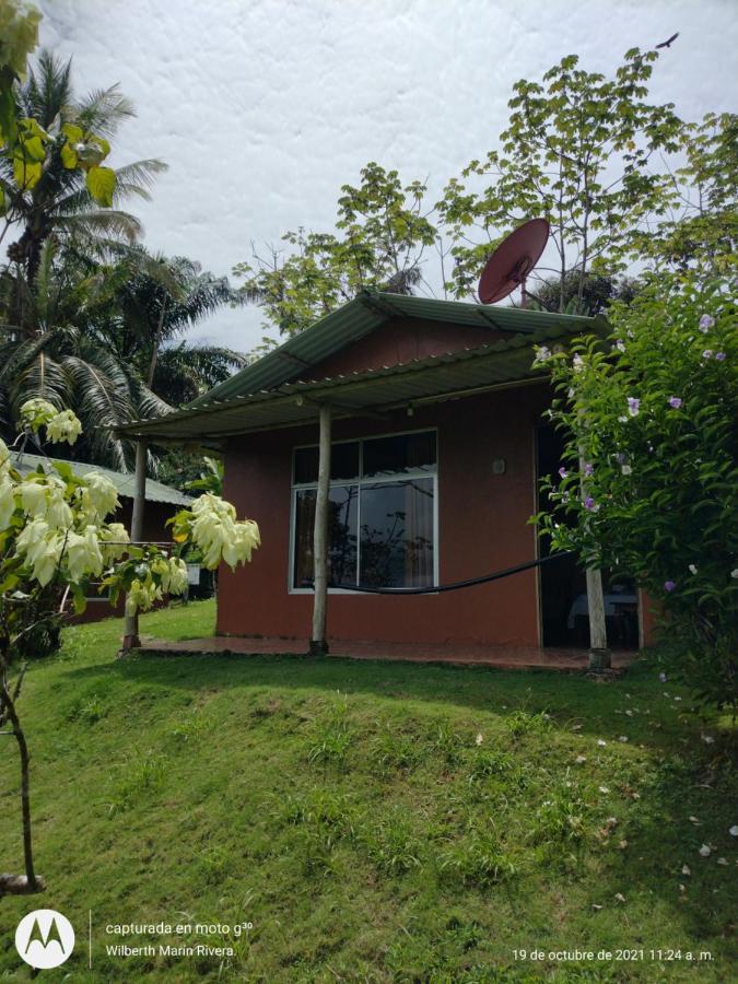 Hotel Mirador Osa Mogos 외부 사진